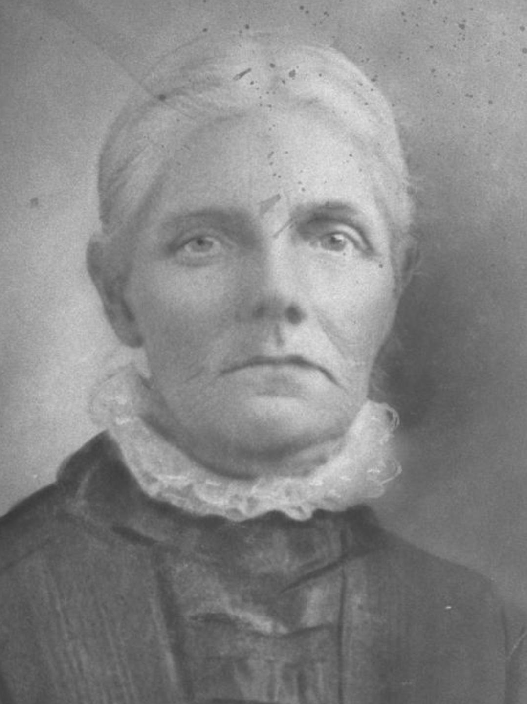 Julia Ann Willard (1848 - 1934) Profile